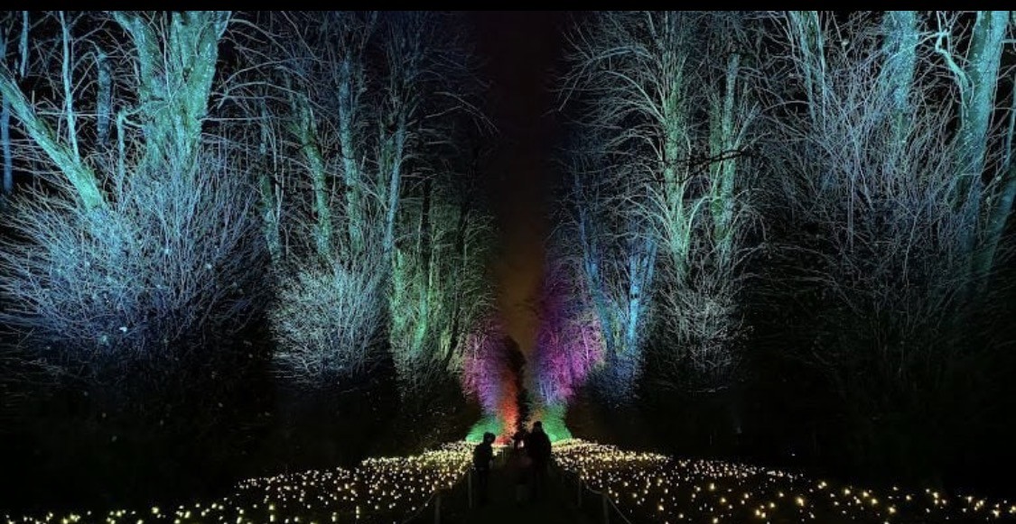 A winter walk at Kingston Lacy with hundreds of small lights across the ground and cool light on the trees